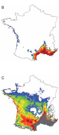 B : répartition actuelle de chêne vert C : modélisation de répartition en 2100. 