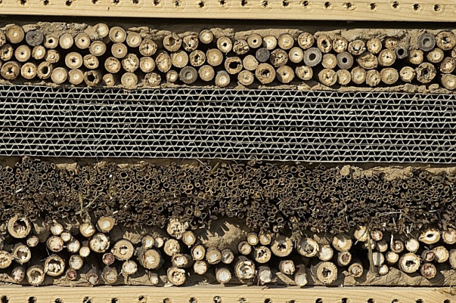 Fab abri abeille
