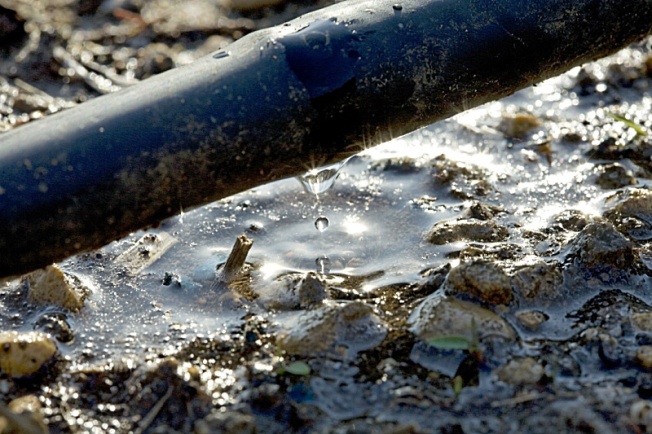 Arroser avec un système goutte à goutte et micro-poreux