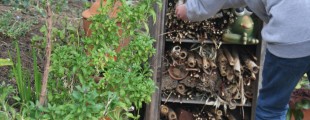 Hotel_a_insectes_-_1