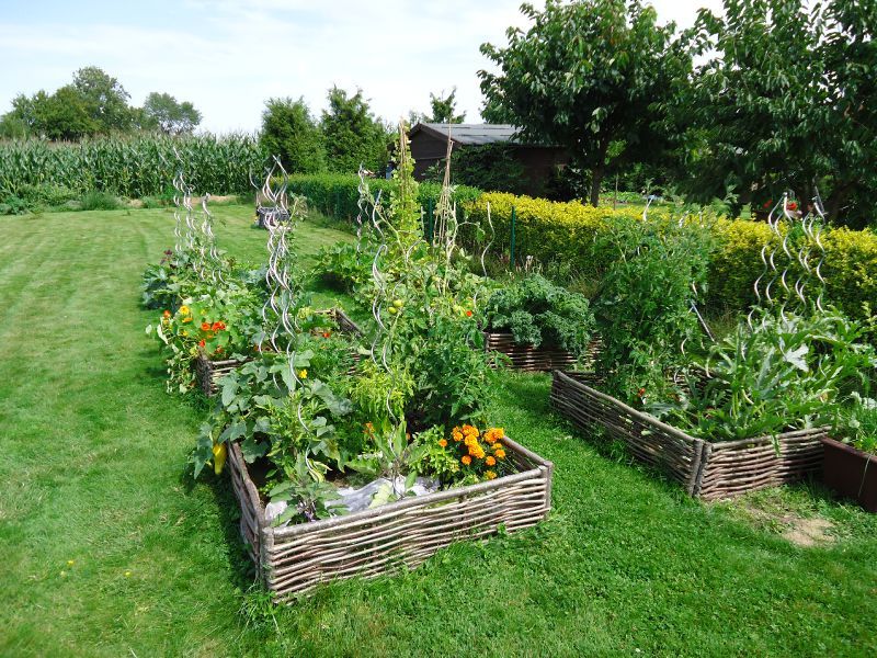 Un mini-potager en bac - Jardinier paresseux