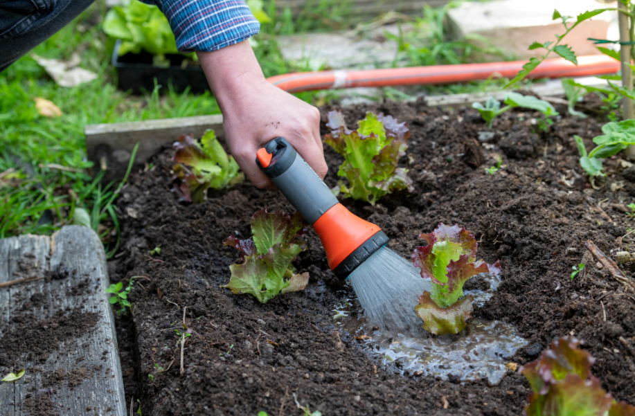 Arrosage écologique du jardin : top 8 des produits astucieux