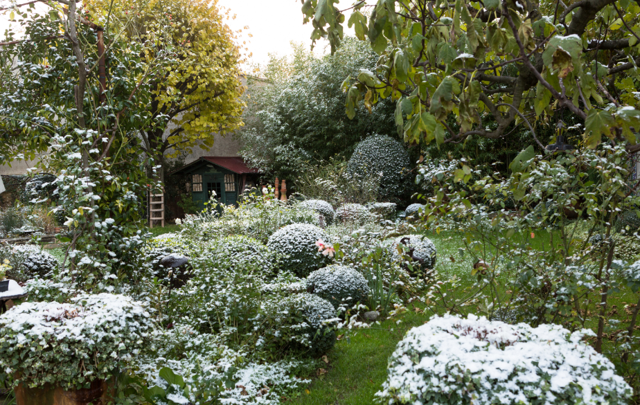 Idée reçue : la bouillie bordelaise c'est bon pour le jardin