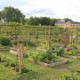 Logo du groupe Le potager en carrés à la française