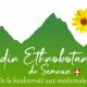 Logo du groupe jardin ethnobotanique du semnoz