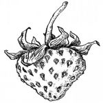 Logo du groupe Les Jardins de la Plantisserie